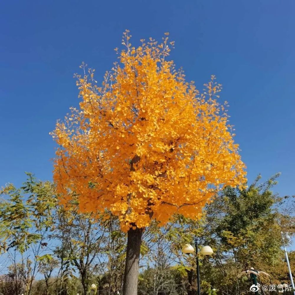 津城下一波冷空氣馬上到貨！氣溫持續(xù)走低……