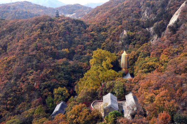 天津：盤山秋景如畫(huà)