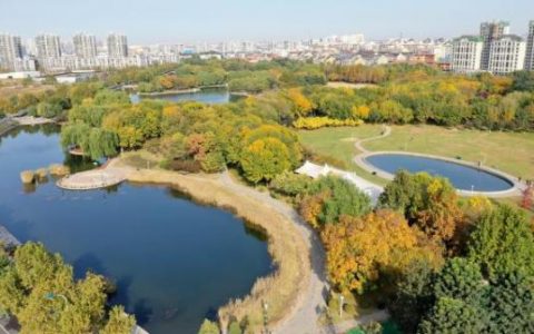 泰豐公園：鹽堿灘上崛起“四季女神”