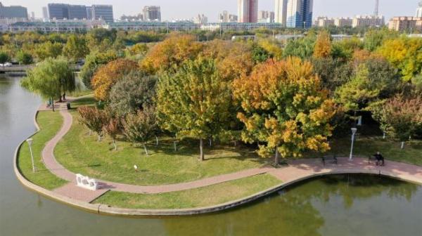 泰豐公園：鹽堿灘上崛起“四季女神”