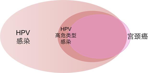 HPV和宮頸癌有何關(guān)系 HPV疫苗咋打 干貨在這