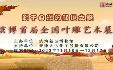 太美了！濱海新區(qū)博物館首屆全國葉雕藝術(shù)展開展啦！