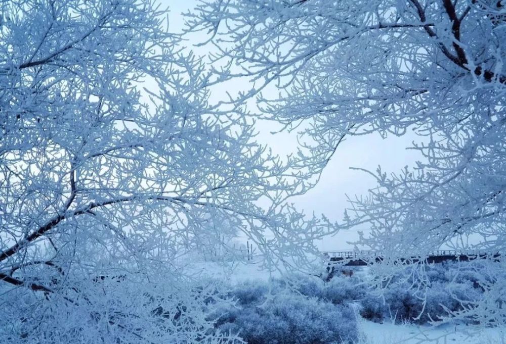 呼倫貝爾，夢幻般的雪國風(fēng)光