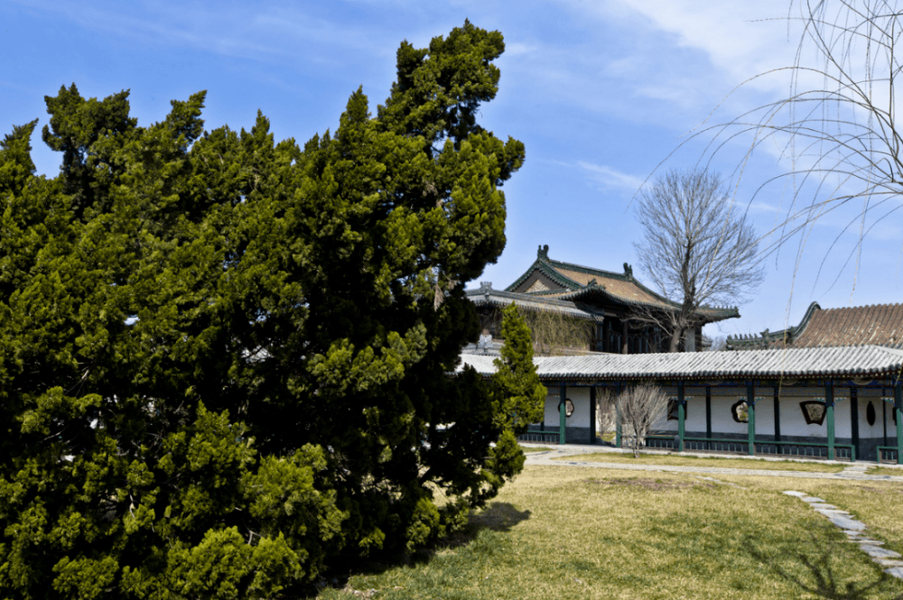 被粉絲譽(yù)為“小鄧麗君”天津-北寧公園很美的旅游景點(diǎn)你聽(tīng)過(guò)嗎