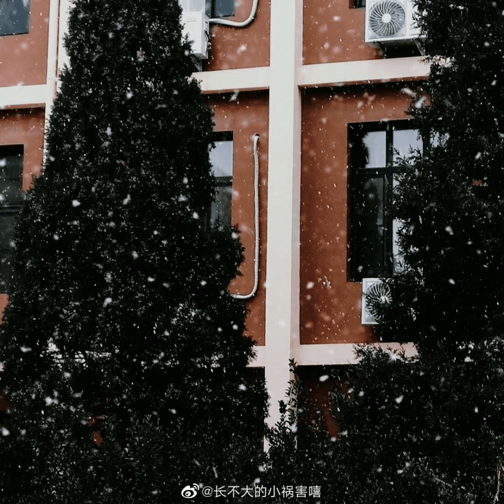 天津迎來今冬初雪！這里暴雪藍色預警！還有這些事要注意……