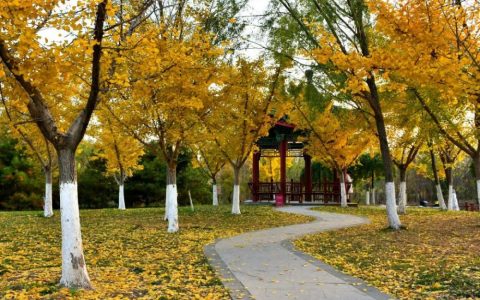 天津又添一座親水公園，秋天真是美翻了！一定要去看一看