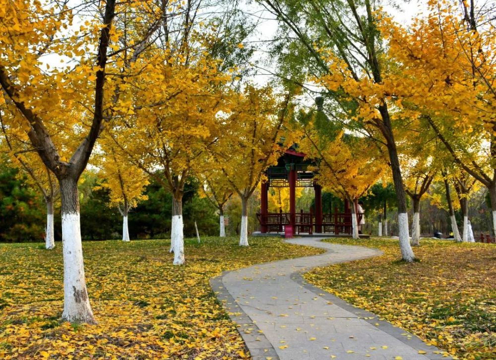 天津又添一座親水公園，秋天真是美翻了！一定要去看一看