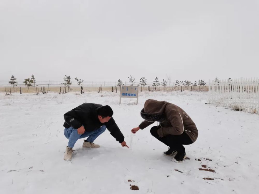 入冬最強雨雪開下！哪最大？啥時停？天津這些地方積水！