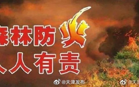 天津不斷提升森林防火能力 保持無重大森林火災(zāi)良好態(tài)勢