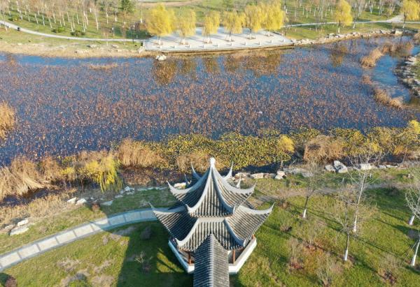 天津水西公園：為城市增添生態(tài)之美