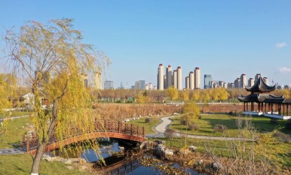 天津水西公園：為城市增添生態(tài)之美