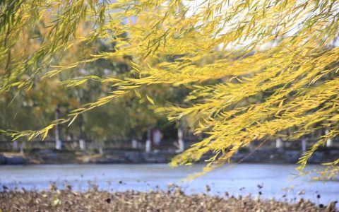 天津本周有兩次冷空氣活動 風(fēng)雨來氣溫降