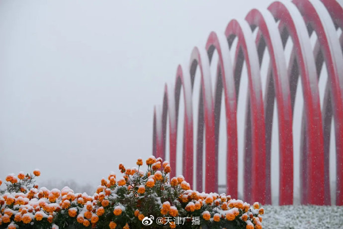 初雪過后，天津氣溫再跳水