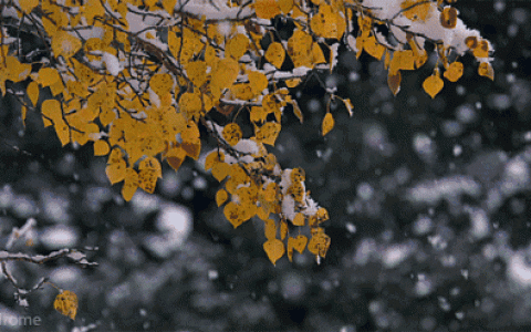 天津今夜又要下雪啦！冷得發(fā)抖……