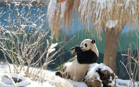 ＠所有人，約起，一塊去玩雪！