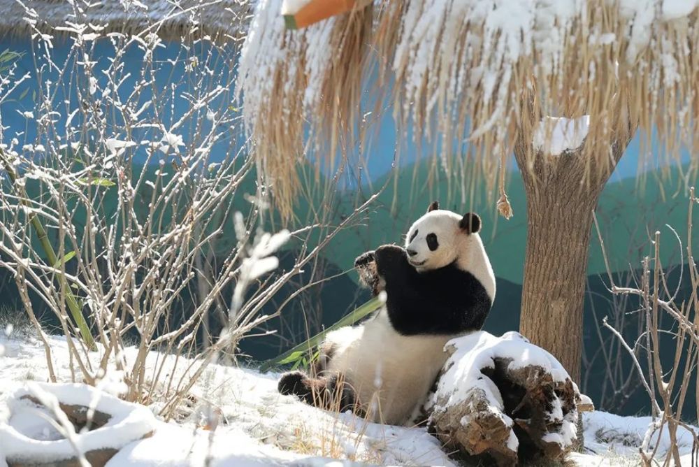 ＠所有人，約起，一塊去玩雪！