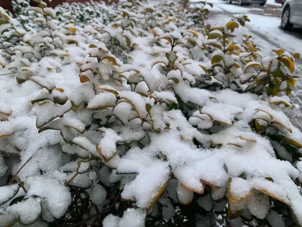 “雪姑娘”如約而至！濱海新區(qū)發(fā)布道路結(jié)冰黃色預(yù)警