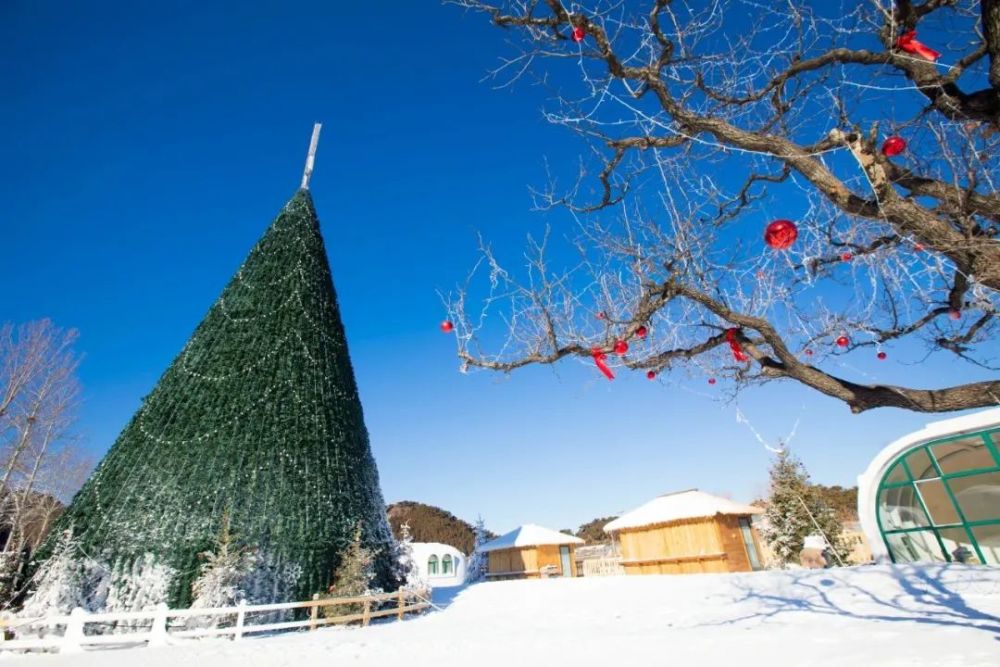 賞雪～滑雪～玩雪！薊州這處冰雪王國即將亮相！