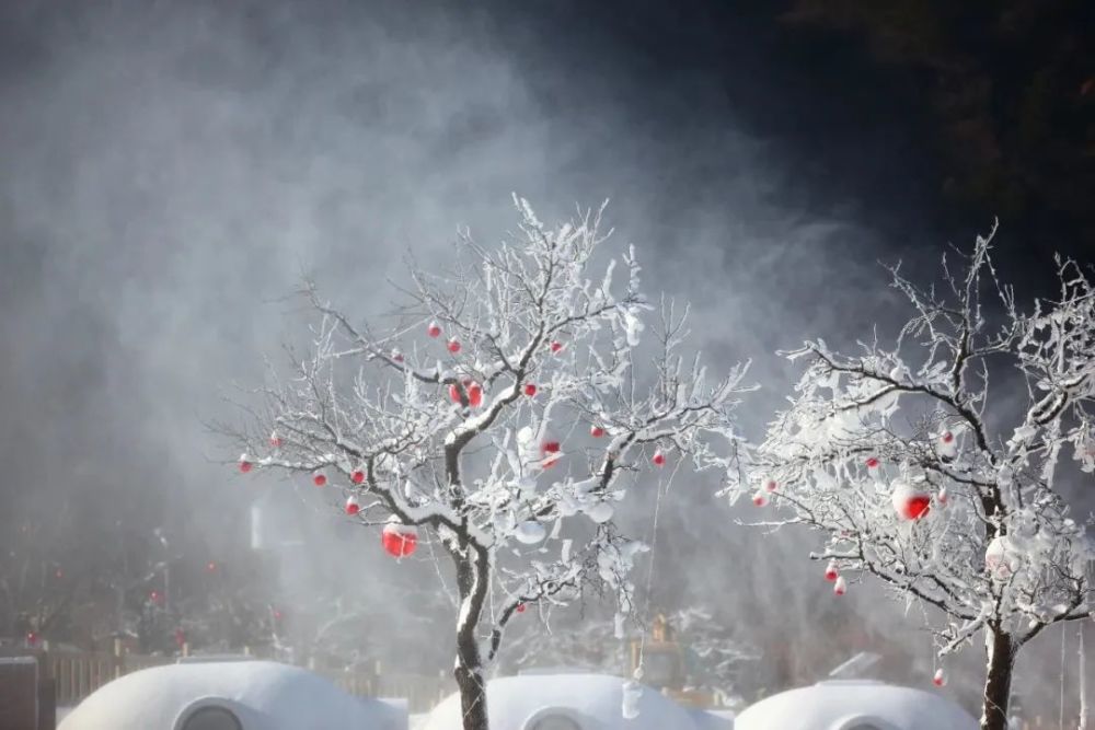 賞雪～滑雪～玩雪！薊州這處冰雪王國即將亮相！