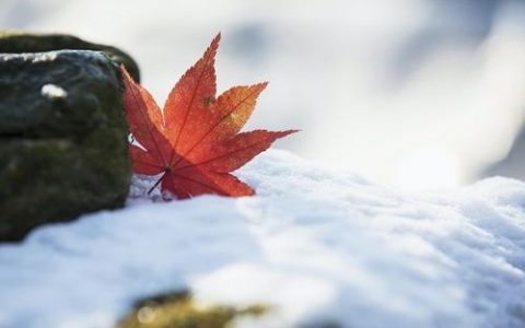 天津：“大雪”氣溫低 一定多穿衣