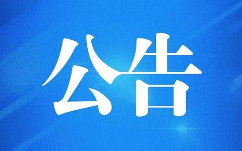 面向社會公開選聘天津城市基礎(chǔ)設(shè)施建設(shè)投資集團有限公司總經(jīng)理、副總經(jīng)理公告