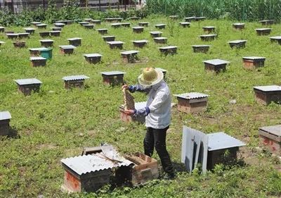 讀懂了這張圖，你才真正讀懂了西青……