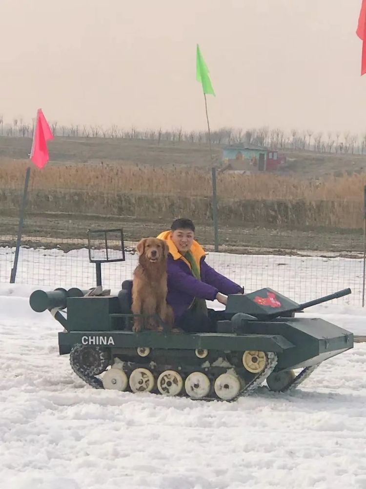 放假嘍！“神獸們”來西青坐雪橇 游冰雪世界吧......