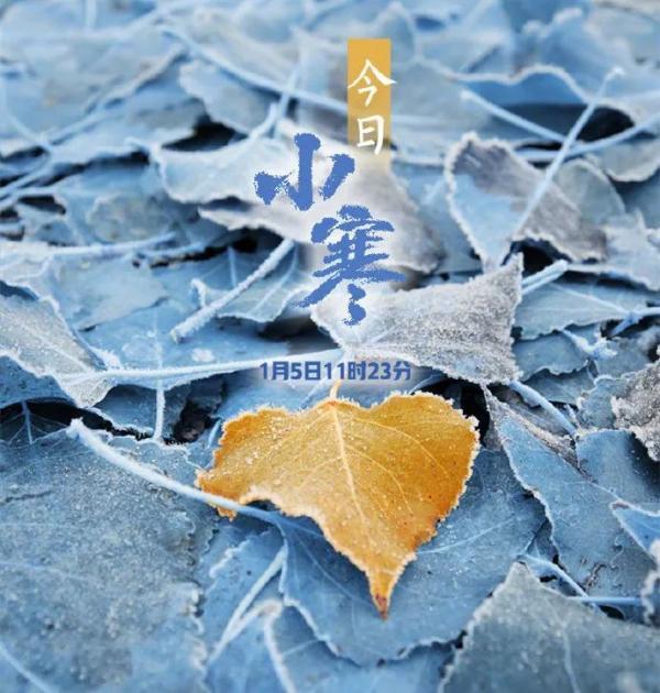 -20℃＋9級大風(fēng)！天津今年首個(gè)寒潮來了！