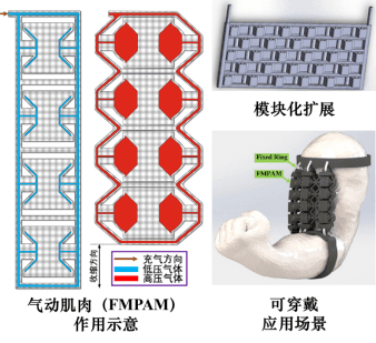 天津大學最新研發(fā)：3D打印軟性機器人