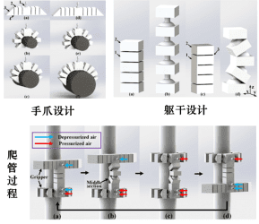 天津大學最新研發(fā)：3D打印軟性機器人