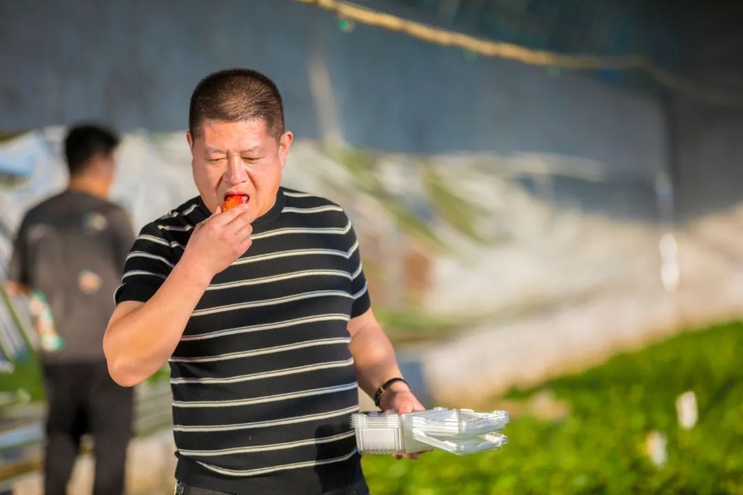 薊州草莓熟了！“莓”好時(shí)光約起來