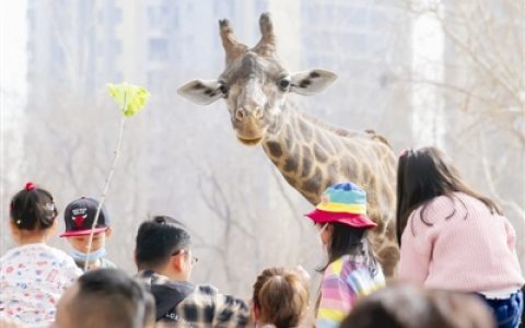 走！去動物園看動物