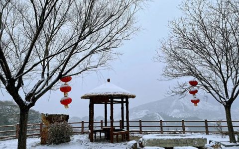 春雪，真的來了！薊州下雪了，天津市區(qū)還有戲嗎？