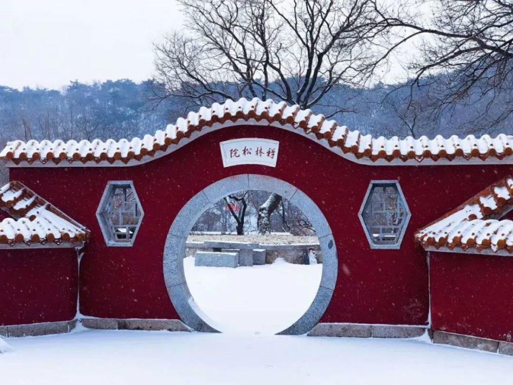 春雪，真的來了！薊州下雪了，天津市區(qū)還有戲嗎？