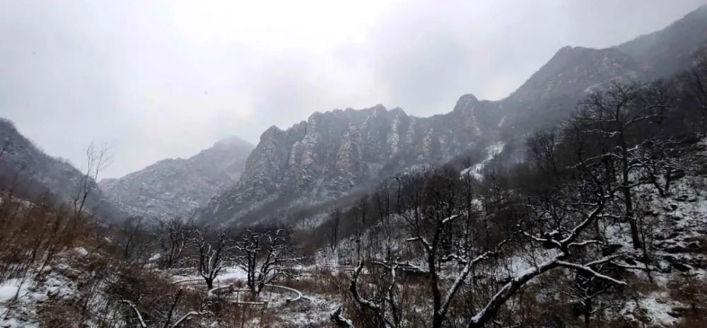 牛年的第一場雪，喚醒了薊州“梨木臺”