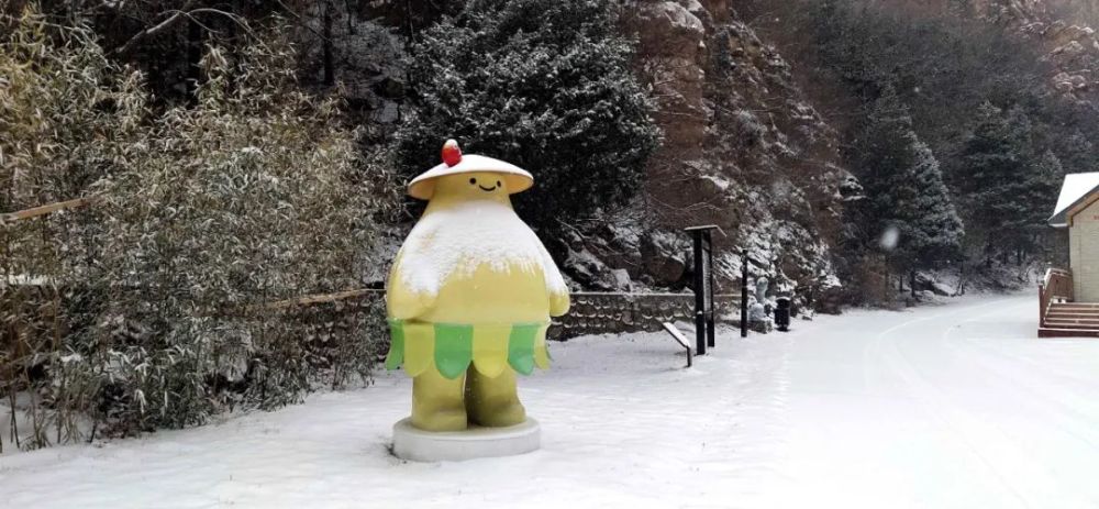 牛年的第一場雪，喚醒了薊州“梨木臺”