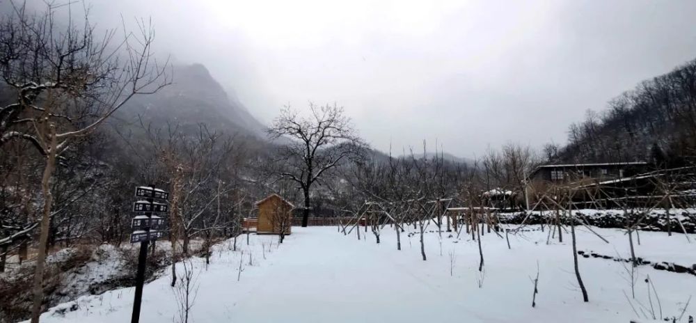 牛年的第一場雪，喚醒了薊州“梨木臺”