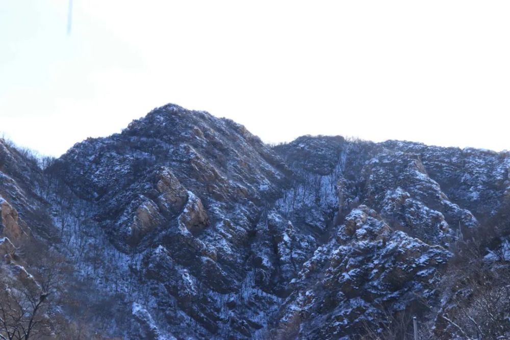 牛年的第一場雪，喚醒了薊州“梨木臺”