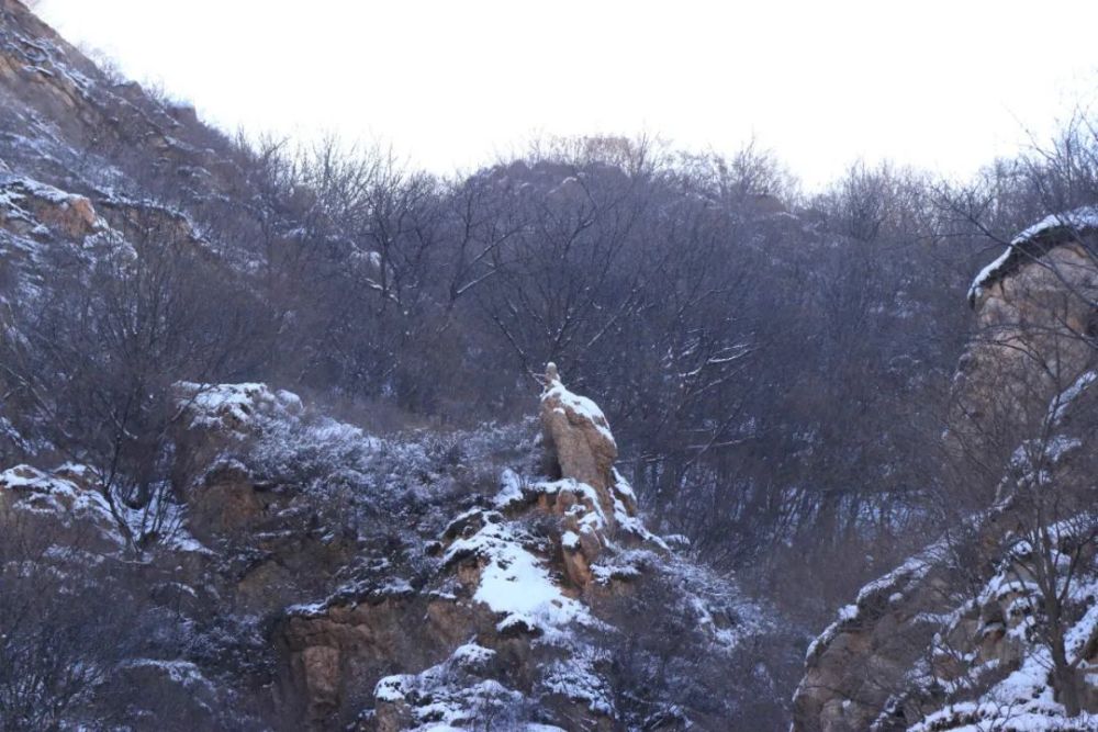 牛年的第一場雪，喚醒了薊州“梨木臺”