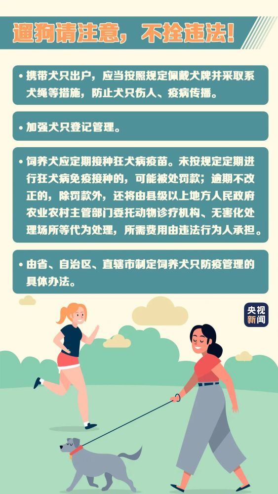 天津養(yǎng)犬人遛狗請注意！不栓繩將違反這項法規(guī)