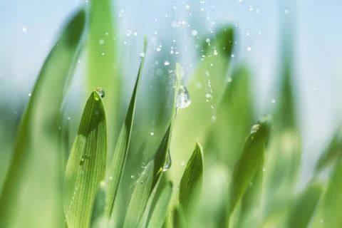 今日雨水，天津氣溫迎新變化！