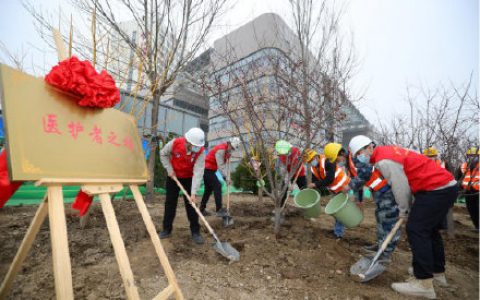 天津一中心醫(yī)院新址開始綠化施工 建“醫(yī)護者之林”