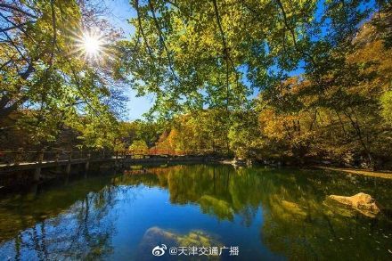 天津薊州九大景區(qū)向這些人群免費(fèi)開放……