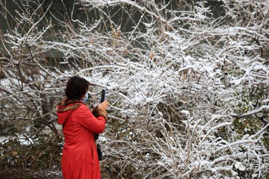 天津雪景圖新鮮到貨！路面情況如何?高速、機場受影響嗎?