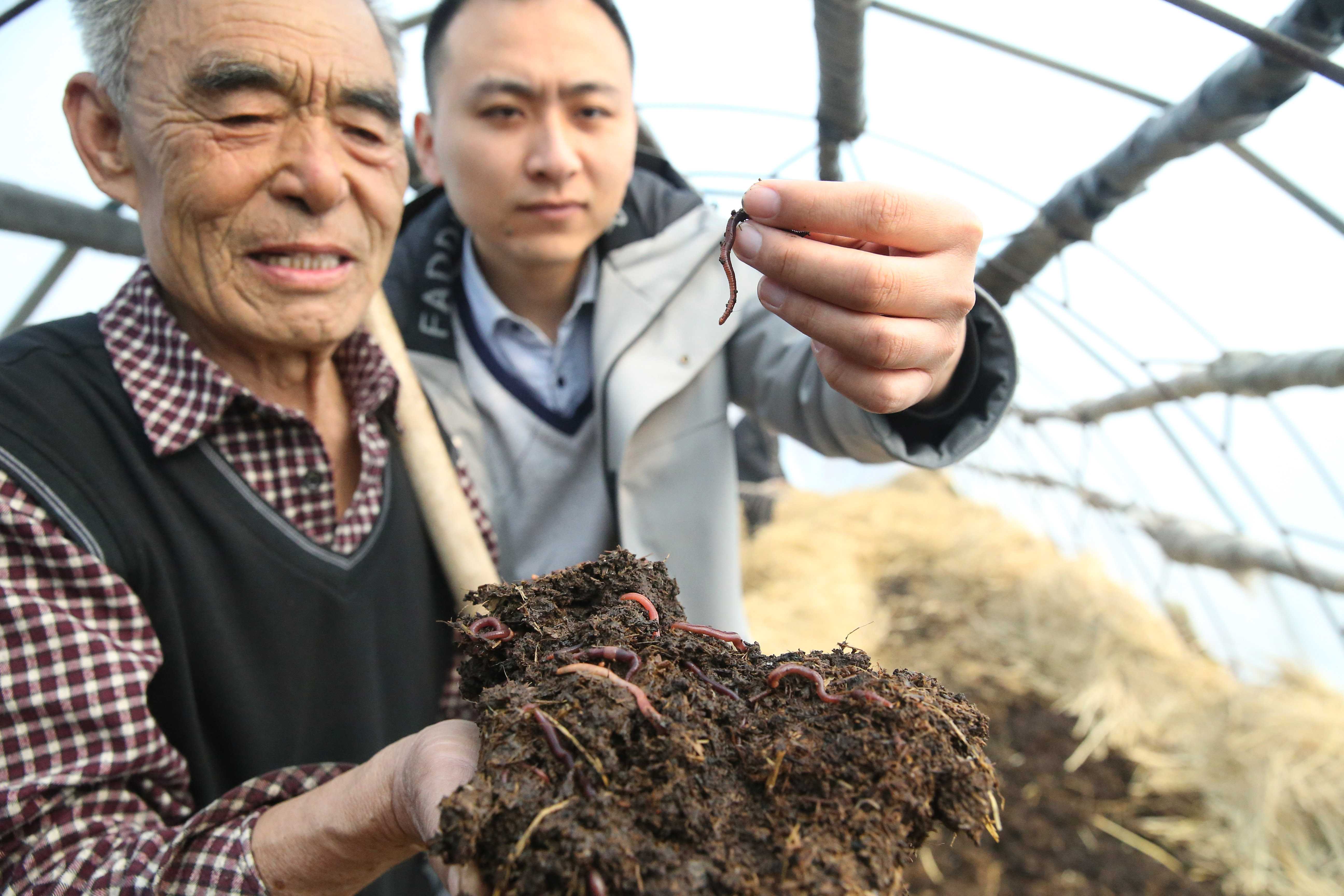 天津民生生物工程股份有限公司引領(lǐng)地龍行業(yè)快速發(fā)展