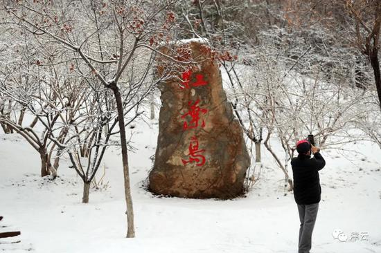 天津雪景圖新鮮到貨！路面情況如何?高速、機場受影響嗎?