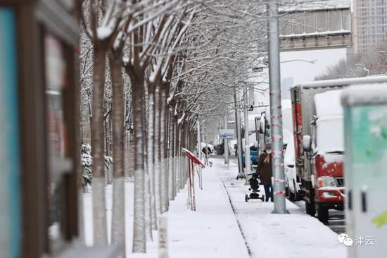 天津雪景圖新鮮到貨！路面情況如何?高速、機場受影響嗎?