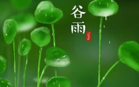 今日谷雨，吃什么又講究又健康又養(yǎng)生？天津人愛吃這口！