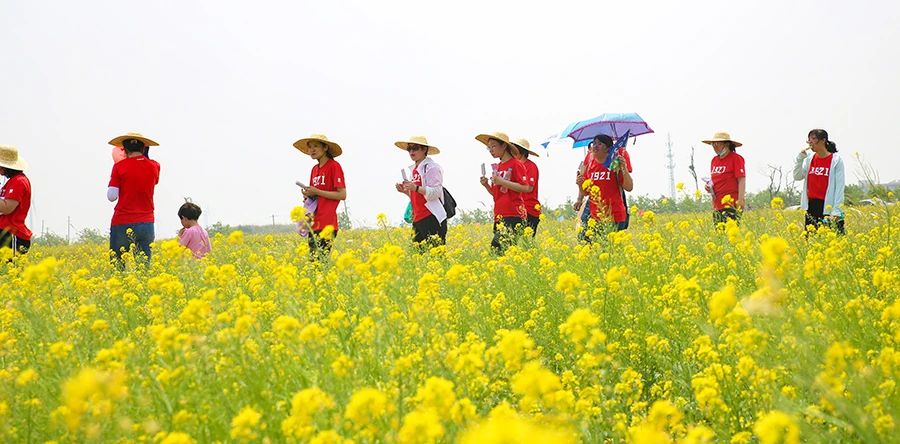 2000余畝油菜花亮相濱城首屆健步行活動(dòng) 小王莊鎮(zhèn)田園農(nóng)游展新顏