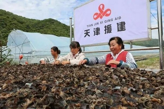 甘肅省天水市麥積區(qū)的群眾參與天津援建項目。